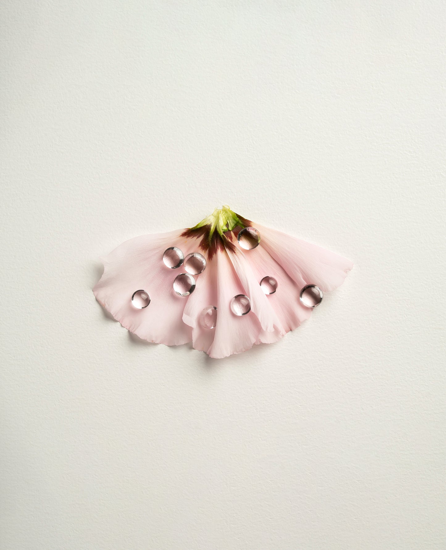 Gemma ジェンマ